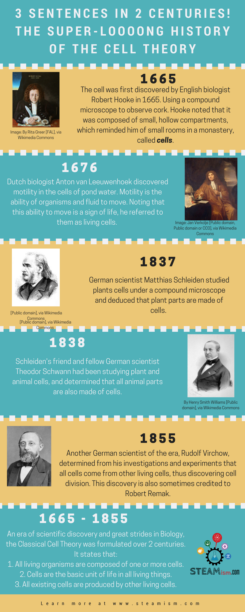History of cell theory infographic